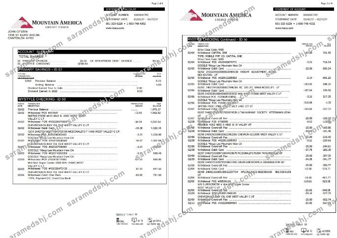 USA Mountain America Credit Union statement 6 pages